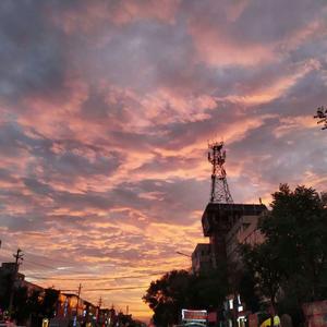 午夜精品福利视频
