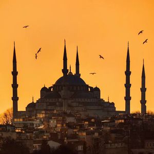 午夜精品福利视频
